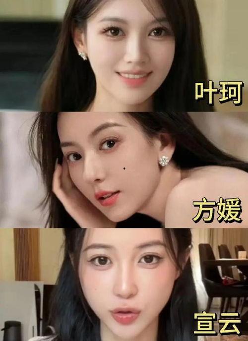 娱乐圈吃瓜说的科学是什么意思,揭秘娱乐圈背后的真相与规律