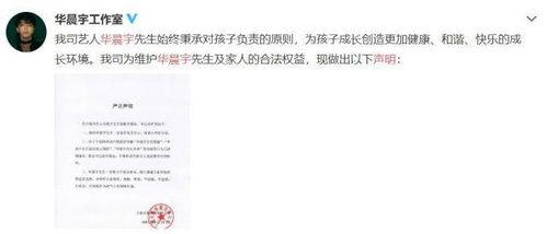 吃瓜娱乐圈的作文,揭秘明星幕后故事