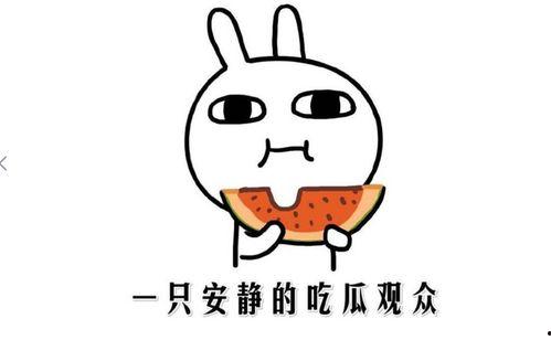 娱乐吃瓜名字怎么取,揭秘明星幕后故事