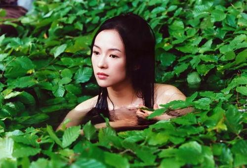 娱乐吃瓜君白莲花女星